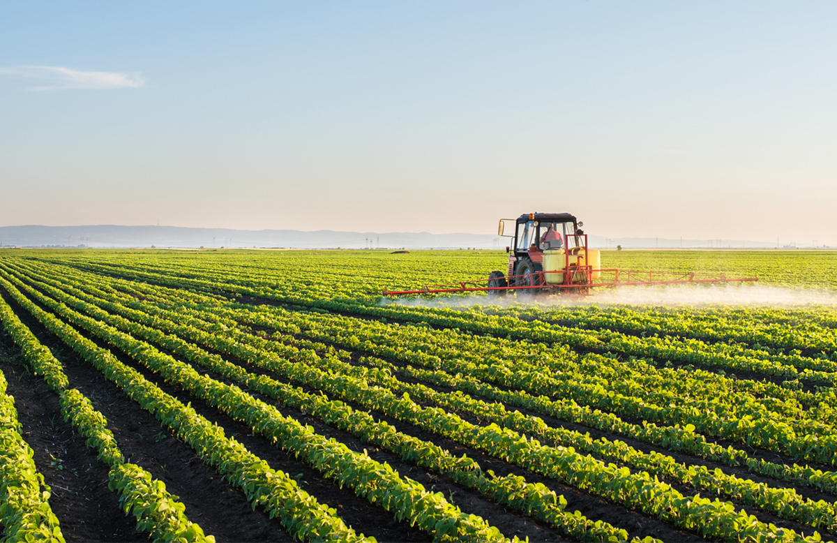 agricoltura